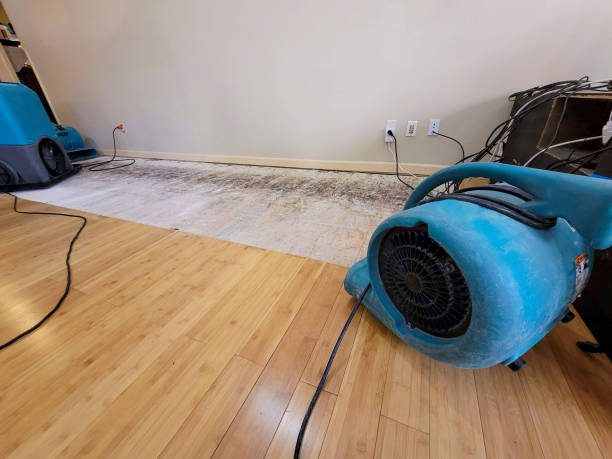 Professional Ceiling Water Damage Repair technician working in Marion, MS