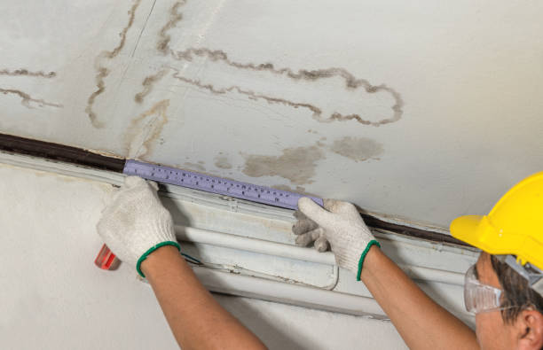 Affordable Ceiling Water Damage Repair solutions in Marion, MS